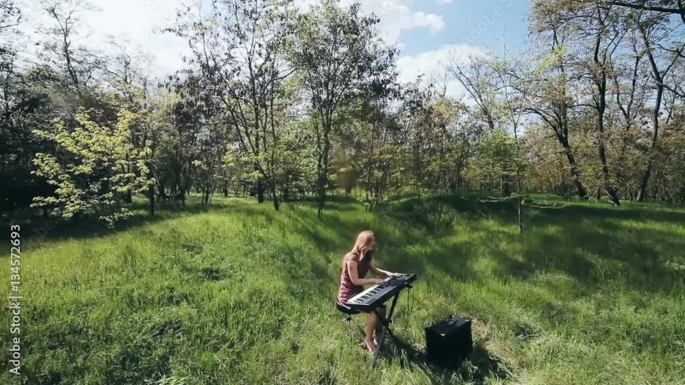 girl in the forest plays the synthesizer and sings girl in the forest plays the synthesizer and sings
