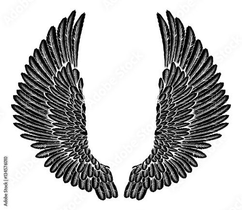 Gothic Wings