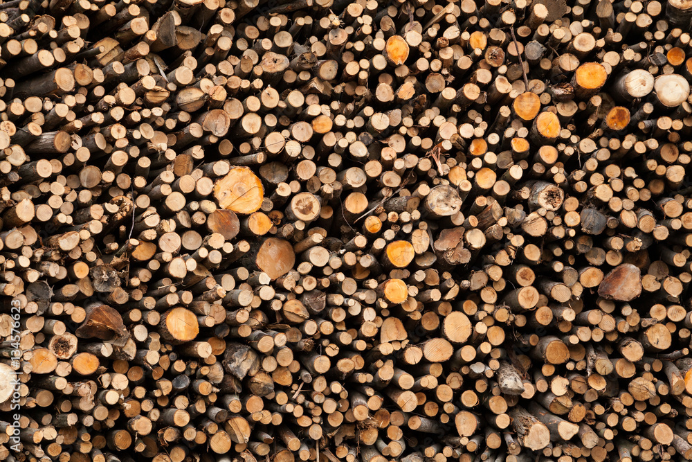 full image of cut wood pile, end on, view of cut ends of various sizes of logs and branches