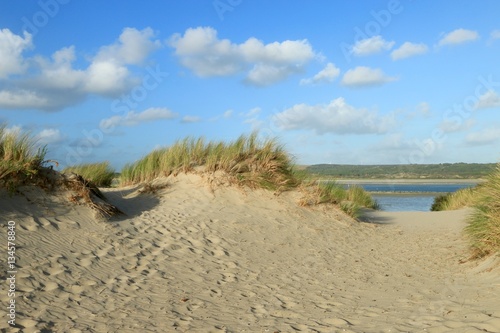 dunes of the Touquet côte d 'Opale , pas de Calais, hauts de France , France  photo