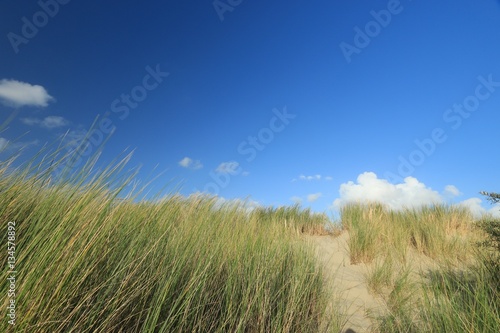 dunes of the Touquet côte d 'Opale , pas de Calais, hauts de France , France 