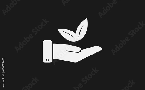 leaf in hand icon Vector.