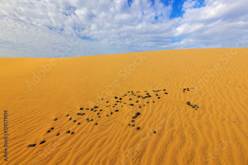 Summer dry landscape in Africa. Sand waves in the wild nature. Dunas Maspalomas  Gran Canaria  Spain. Yellow sand on the island. Sand desert with beautiful rare blue sky with white clouds.