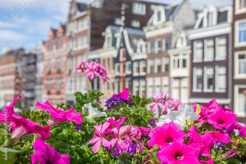 Flowers in front of colorful houses in Amsterdam © venemama