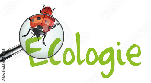 écologie - environnement, présentation - coccinelle - loupe
