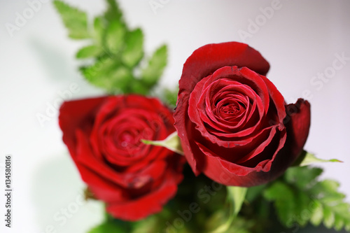 Bouquet of red roses on a white background. Top view