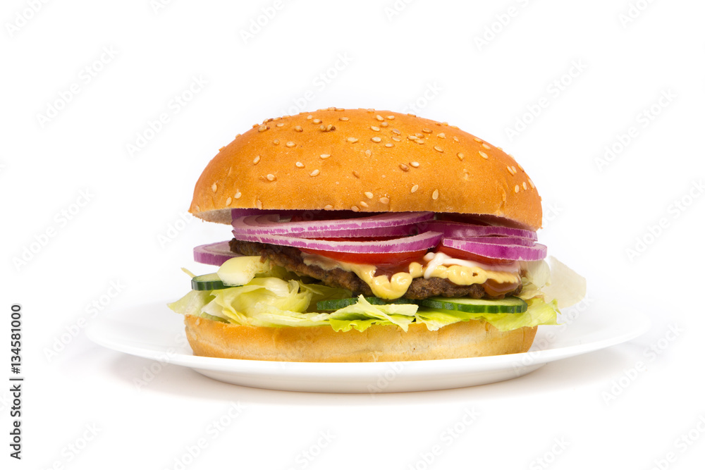 Hamburger close up Hamburger close up