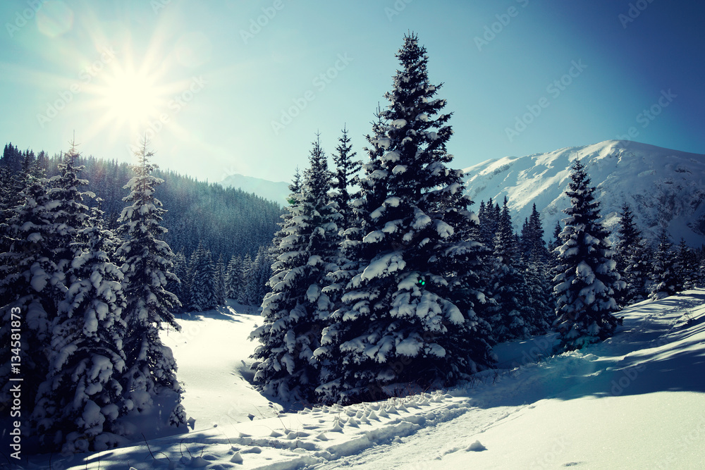 Snowy view in Tatra Mountains, winter landscapes series Snowy view in Tatra Mountains, winter landscapes series