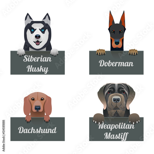 Set of cartoon dogs.