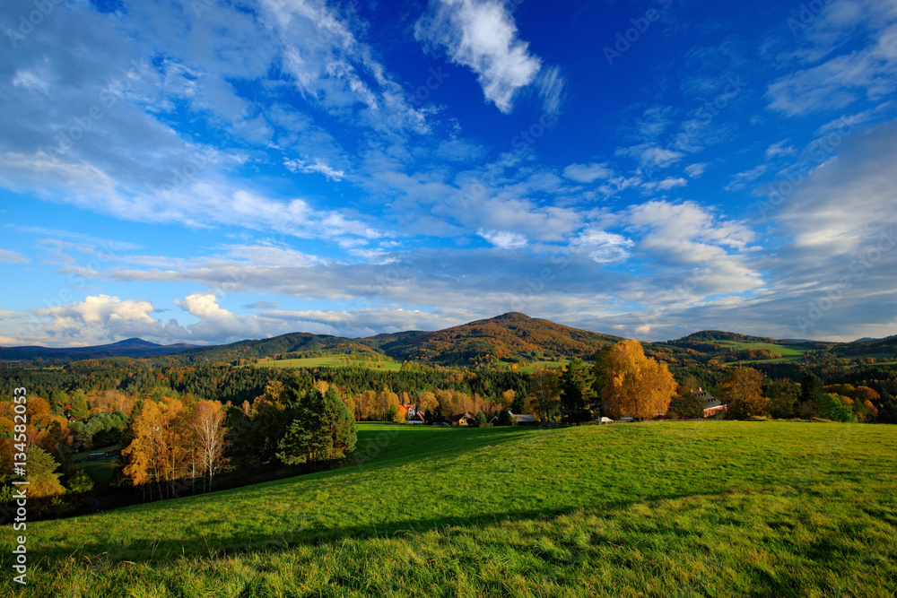 Orange leaves trees with dark blue sky with white clods. Morning view after sunrise, autumn view, orange landscape, Rynartice, Bohemian Switzerland National Park, Czech. Beautiful scene with clouds.