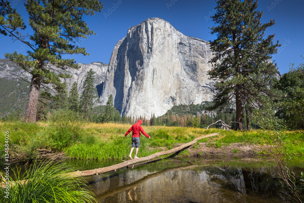Young hiker balancing on a tree in front of El Capitan, Yosemite National Park, California, USA