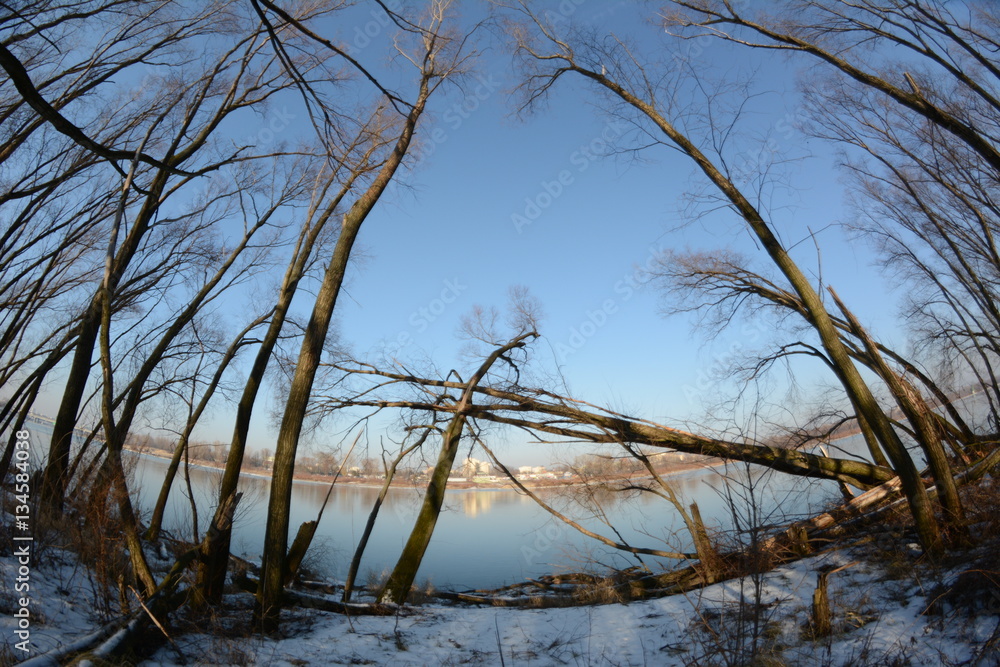 Fototapeta premium warszawa.Wisla srodkowa ,natura 2000