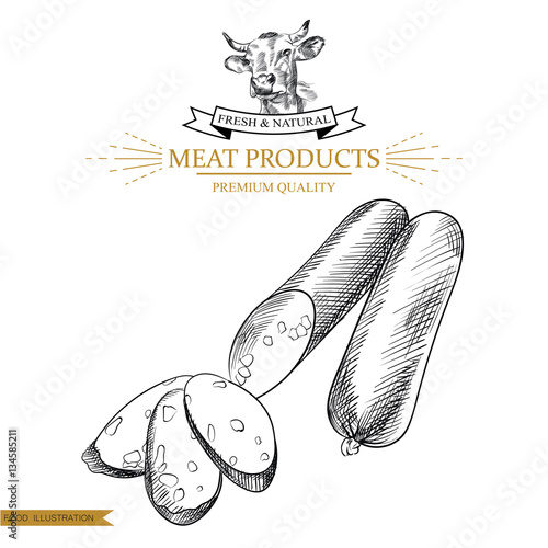 Sketch stick salami on white background. Hand drawn meat elements Retro style poster with cow banner vector illustration. Use for butcher shop, livestock farm.