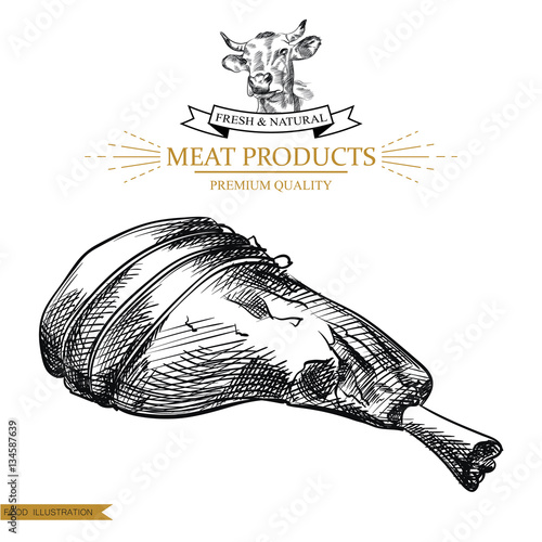 Sketch leg meat on white background. Hand drawn meat elements Retro style poster with cow banner vector illustration. Use for butcher shop, livestock farm.