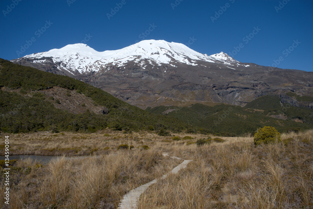 Fototapeta premium View to the snow covered volcano Ruapehu