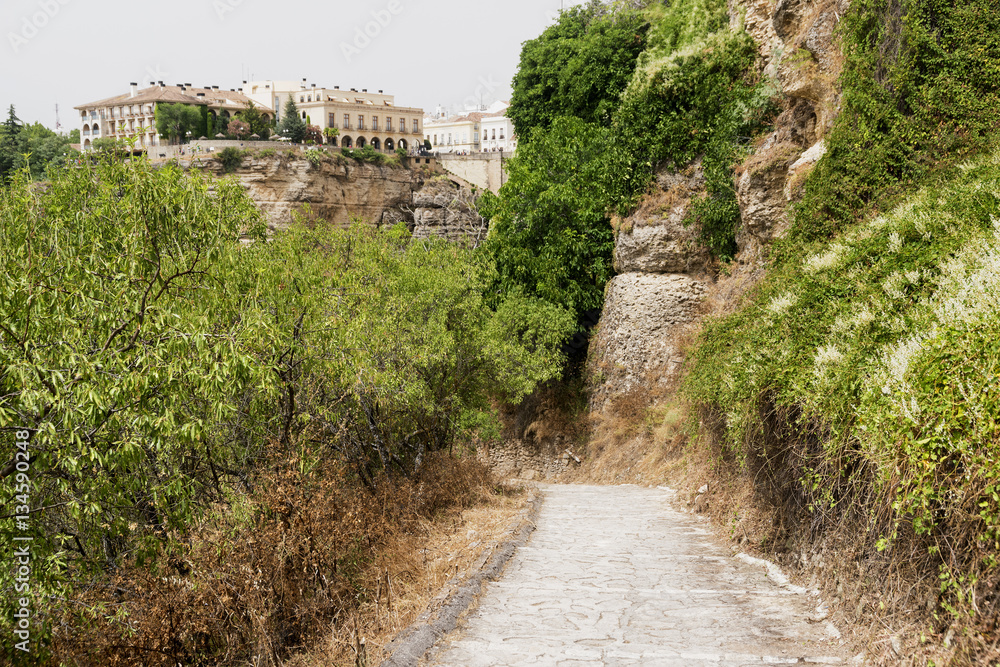 Fototapeta premium Ronda (Andalucia, Spain)