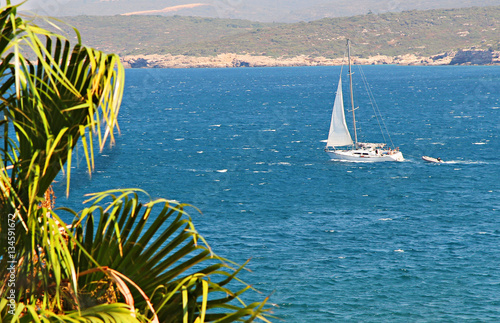 sailboat at sea