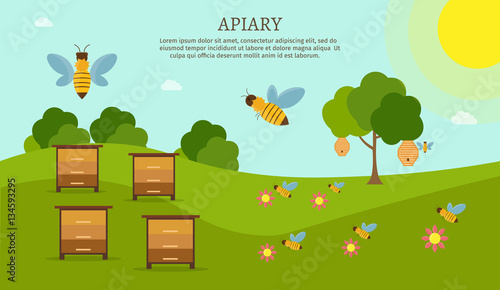 Sweet Honey bee vector flat illustrations set background