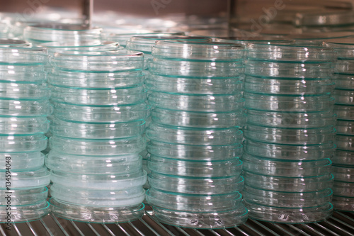 Petri dish for culture in laboratories.