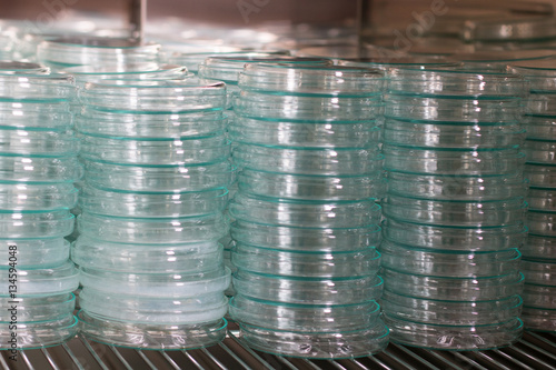 Petri dish for culture in laboratories. photo