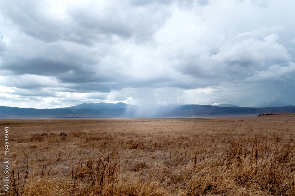 Ngorongoro Natural park in Tanzania, Africa