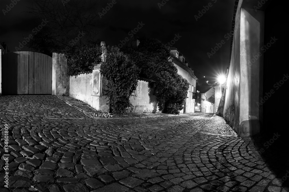 Obraz premium Night time view on castle alley New World, Prague Castle, Hradca