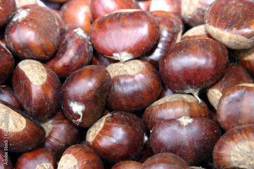 castagne maroni caldarroste frutti autunnali zocca modena emilia romagna