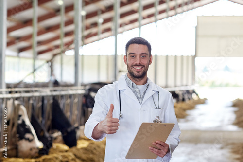 veterinarian with cows showing thumbs up on farm