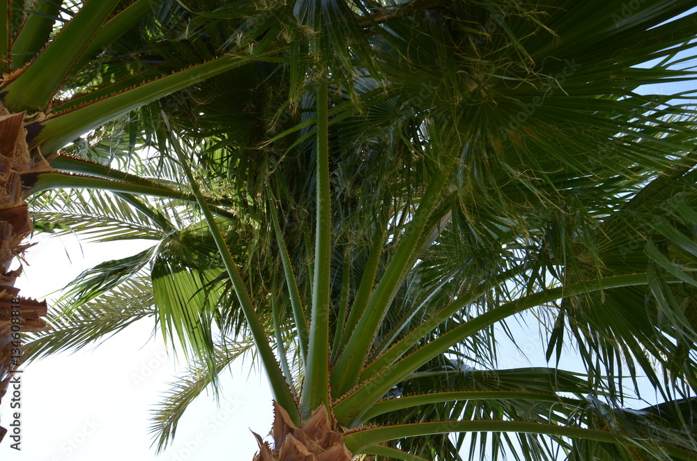 Obraz premium Sharm El Sheikh