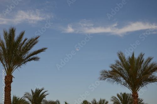 Sharm El Sheikh © rinby87