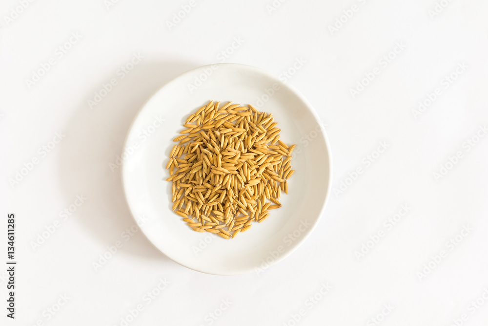paddy rice in white plate on white background