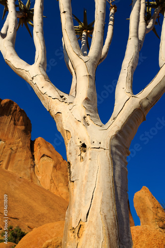 Group of bald granite peaks - Spitzkoppe (Damaraland, Namibia)