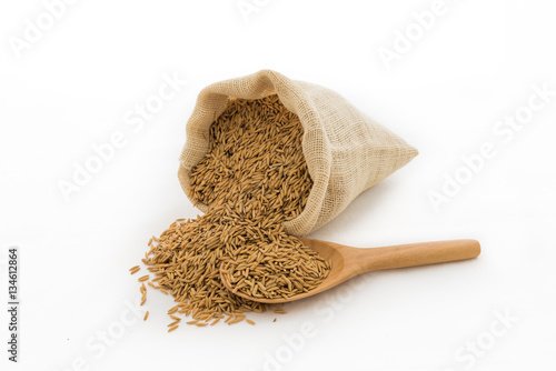 paddy rice in small burlap sack