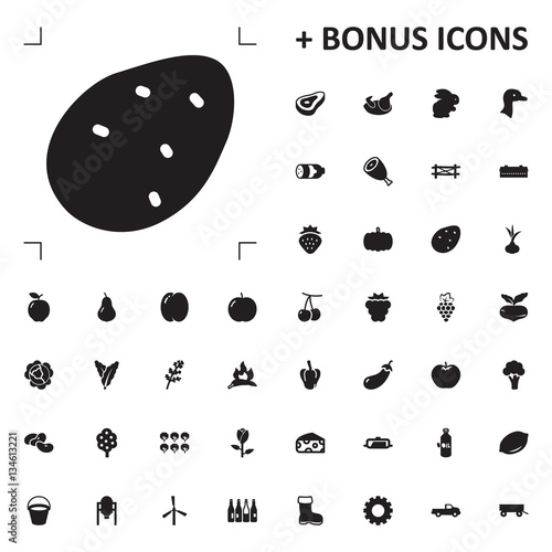 potato icon illustration