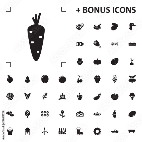 carrot icon illustration