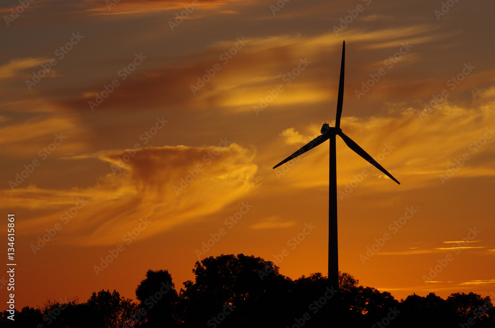 Wiatrak energetyczny o zachodzie słońca Stock Photo Adobe Stock