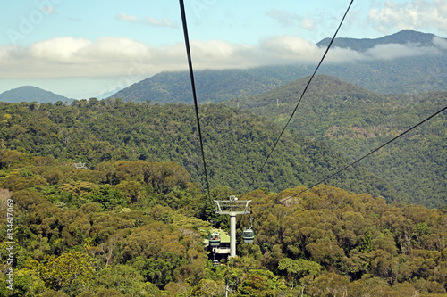 Cable car over the Rainforest
