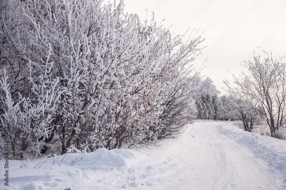 Winter russian forest snow road Winter russian forest snow road