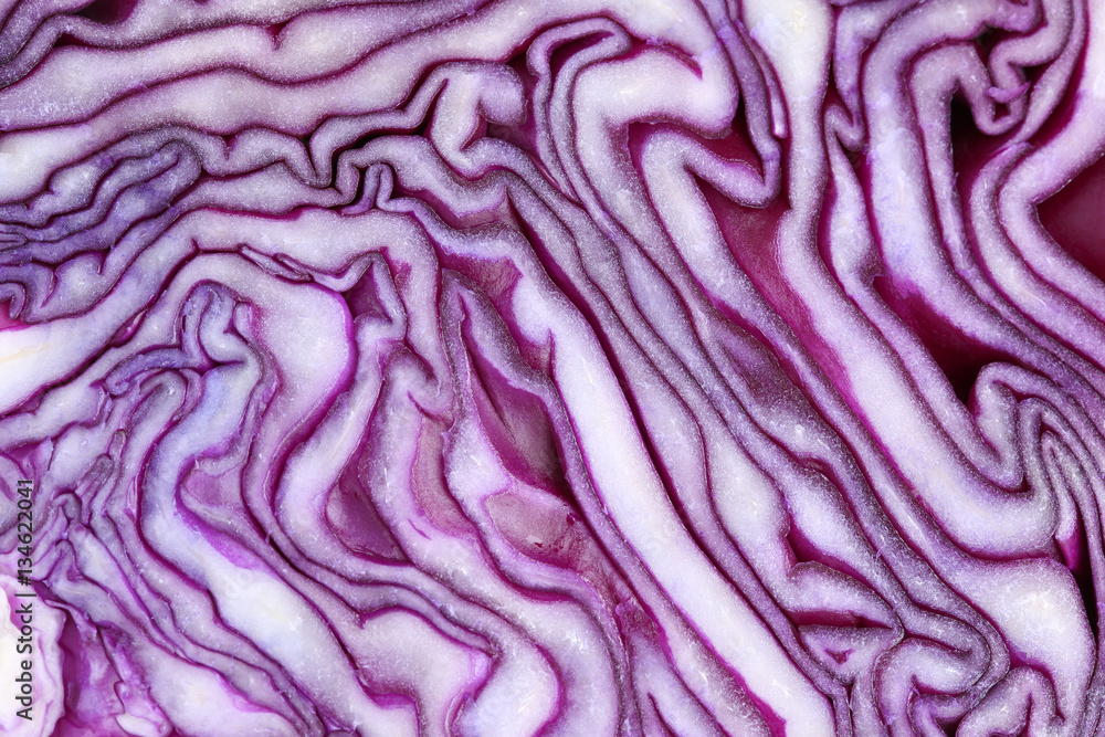 Blaukraut Rotkohl Kraut Kohl geschnitten Gemüse Hintergrund Tex Blaukraut Rotkohl Kraut Kohl geschnitten Gemüse Hintergrund Tex