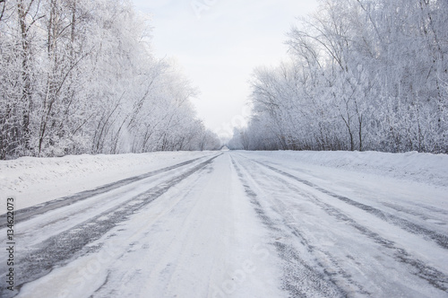 Winter russian forest snow road