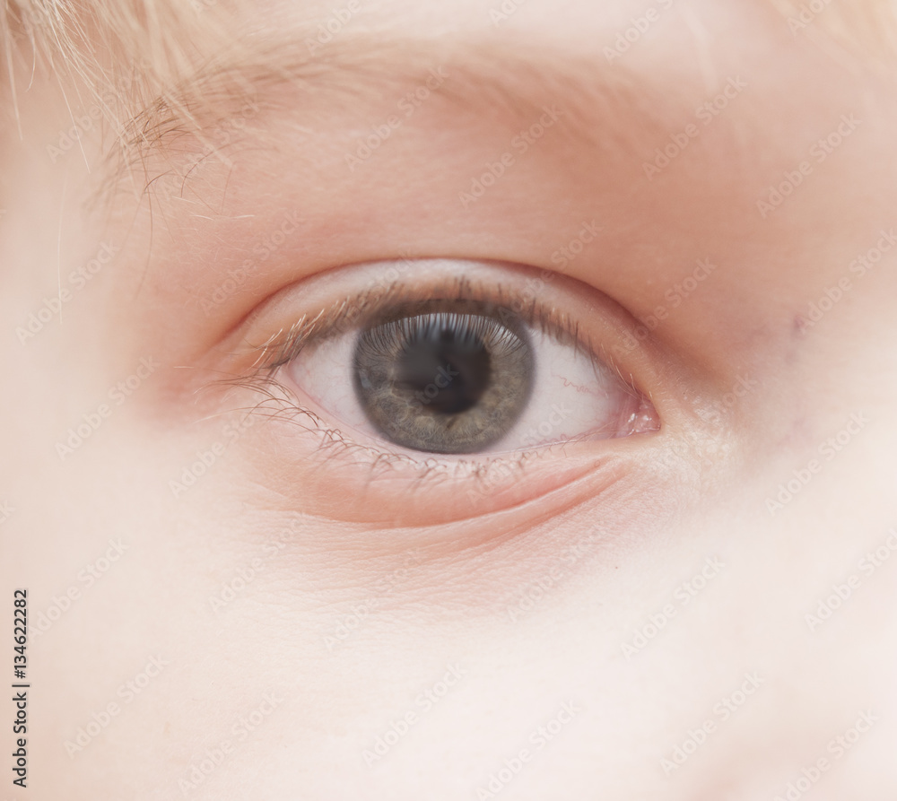Fototapeta premium child's eye - macro