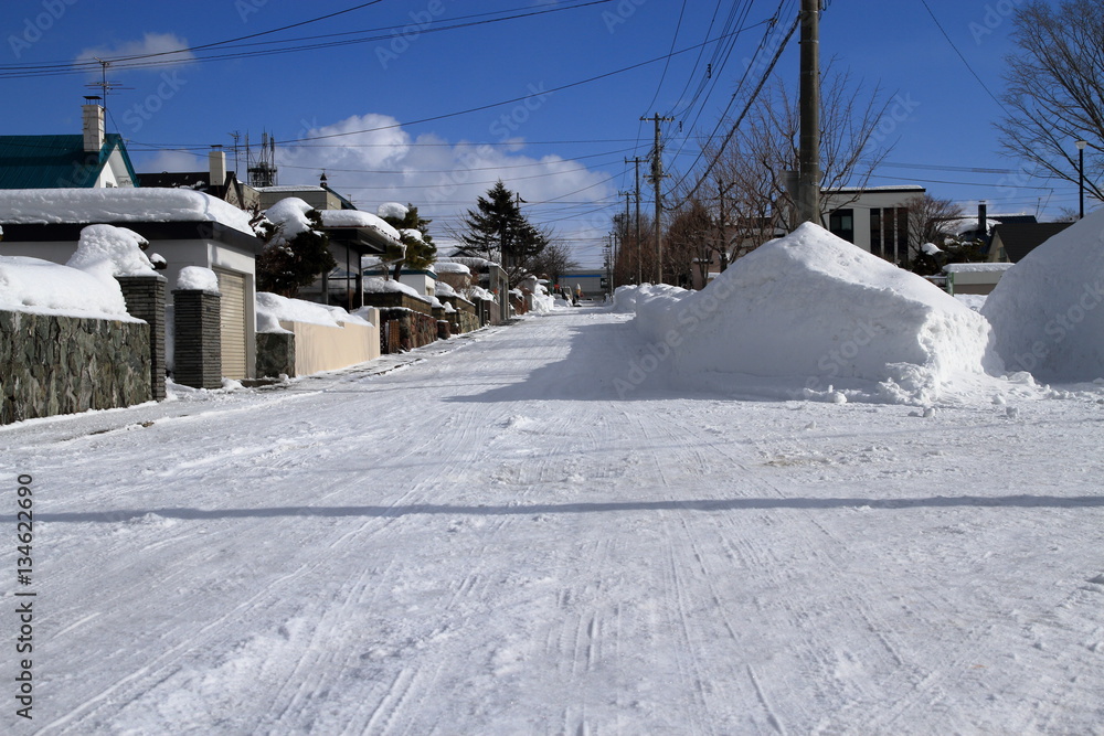 Obraz premium Residential area cleanly snow-removed