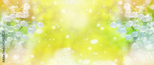 Fototapeta Naklejka Na Ścianę i Meble -  Blooming lilies of the valley..Spring background with lilies of the valley in drops of water after rain.