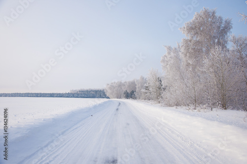 Winter russian forest snow road © vadim yerofeyev