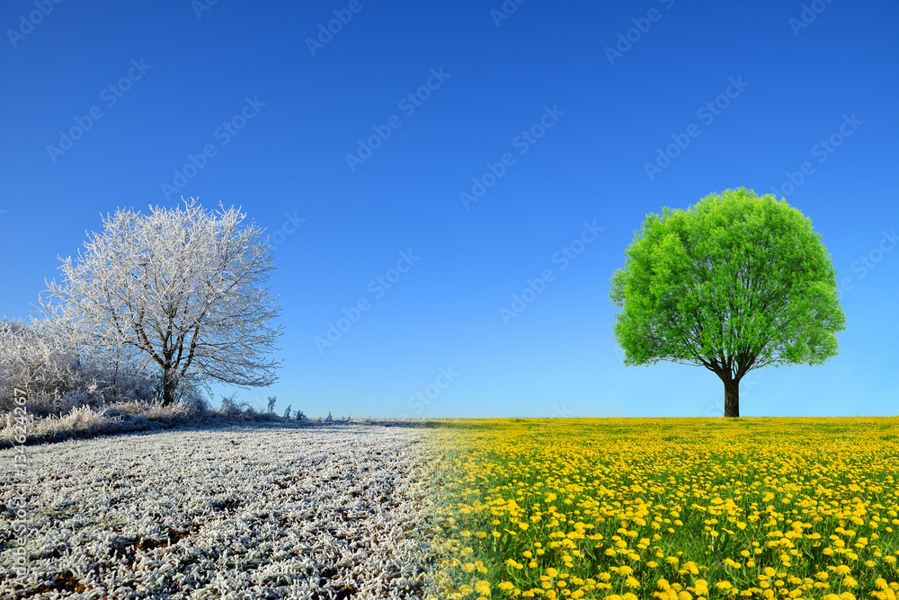 Fototapeta premium Winter and spring landscape with blue sky. Concept of change season.