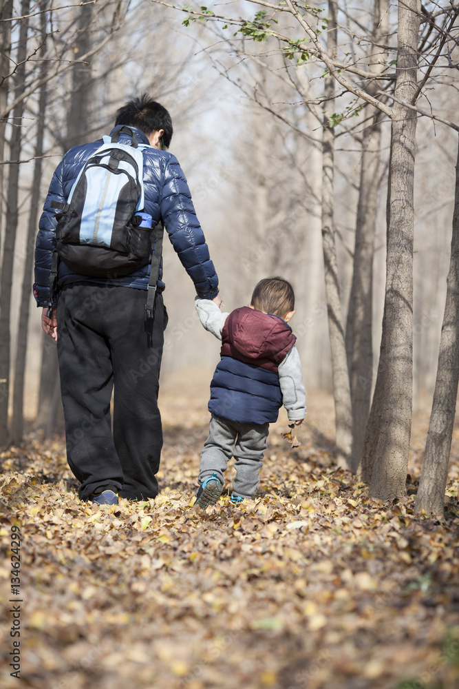 Chinese father and son walking in ginkgo woods