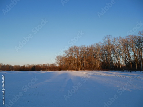 Winter landscape  covered with snow  no people  blue sky  blue tint on the snow  some trees on background