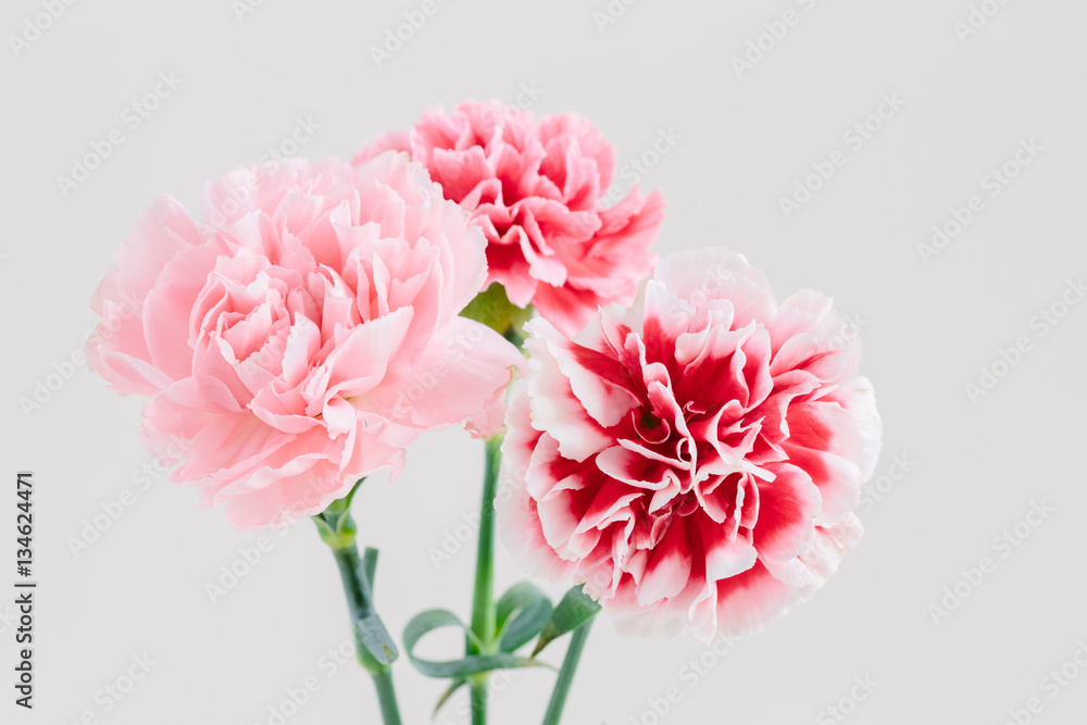 Spring bouquet of flowers in pastel pink color on a light background. Happy International Women's Day, March 8, holiday card