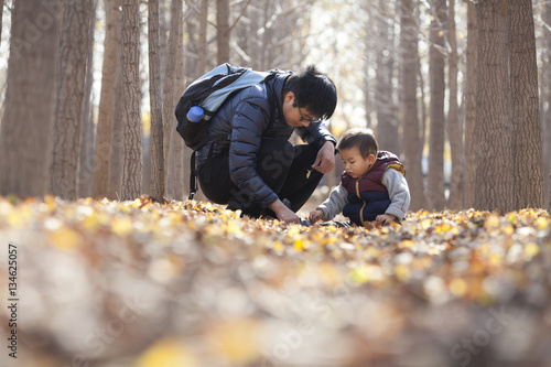 Chinese father and son playing in ginkgo woods