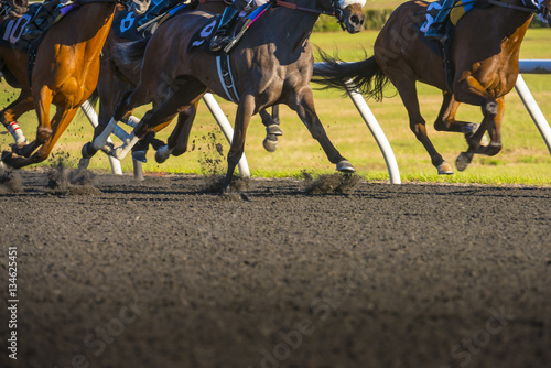 Fototapeta Naklejka Na Ścianę i Meble -  Horse Race colorful bright sunlit slow shutter speed motion effect fast moving thoroughbreds